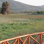 Aloni * Caristo