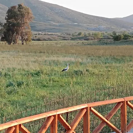 Aloni * Karystos (Evia)