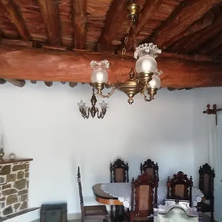 Nyaraló Aloni *