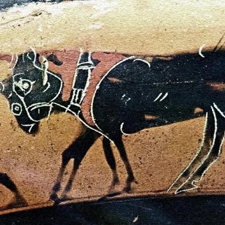 Aloni Karystos (Evia)